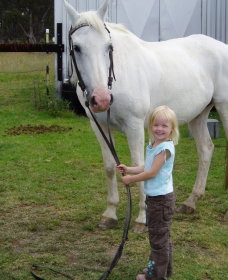 Three Waters High Country Holidays - Accommodation Coffs Harbour 0