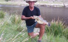 Three Waters High Country Holidays - Accommodation Coffs Harbour 1