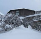 Knockshannoch Ski Lodge - Charlotte Pass