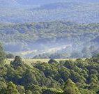 Nowendoc Country Motel - Nowendoc - Accommodation Coffs Harbour