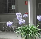 Pine Lodge Motel - Woolgoolga - Accommodation Coffs Harbour