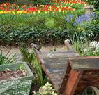The Carrington Inn - Accommodation Coffs Harbour