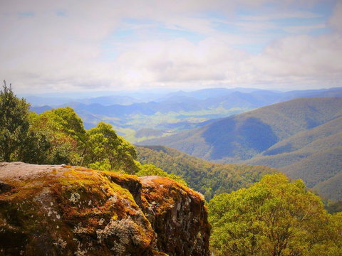 Poleys Place - Accommodation Coffs Harbour 3