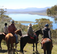 Reynella Homestead and Horseback Rides - Accommodation Coffs Harbour