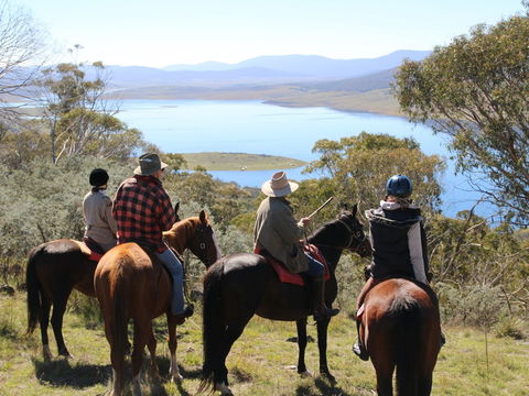 Reynella Homestead And Horseback Rides - Accommodation Coffs Harbour 0