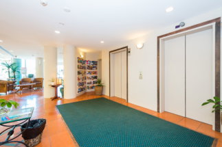 The Emerald Surfers Paradise - Accommodation Coffs Harbour 1