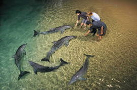 Moreton Island QLD Accommodation Coffs Harbour