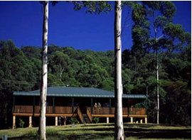 Dungog NSW Accommodation Coffs Harbour