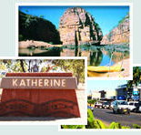 Red Gum Tourist Park - Accommodation Coffs Harbour