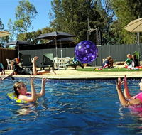 Kingston On Murray Caravan Park - Accommodation Coffs Harbour