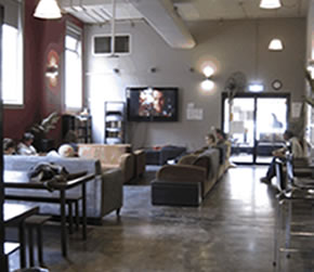 Big Hostel - Accommodation Coffs Harbour 2