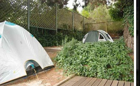 The Flying Fox Backpackers - Accommodation Coffs Harbour 2