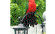 Shelton-lea Bed & Breakfast - thumb 5