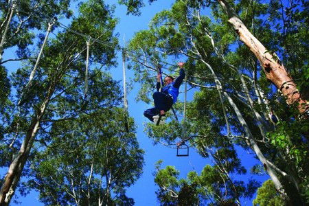Cedar Creek Lodges - Accommodation Coffs Harbour 3