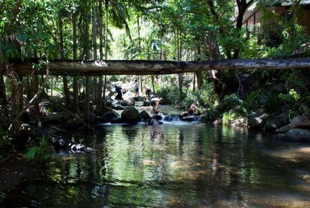 Cedar Creek Lodges - Accommodation Coffs Harbour 5