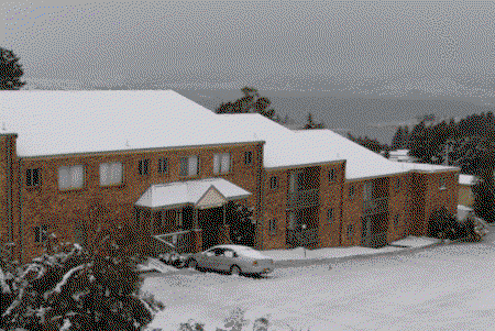 Acacia Snowy Motel - Accommodation Coffs Harbour 4