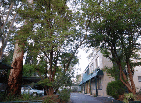 Glenside SA Accommodation Coffs Harbour