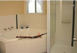 White Albatross Holiday Park - Accommodation Coffs Harbour 3