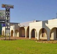 Citrus Motel - Accommodation Coffs Harbour