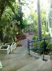 Reef Lodge Backpackers - Accommodation Coffs Harbour 1