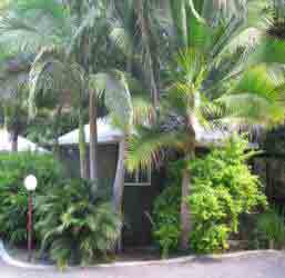 Nambour Rainforest Holiday Village - Accommodation Coffs Harbour 1