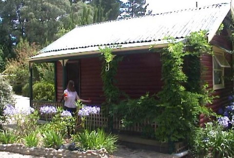 Cedar Lodge Cabins - Accommodation Coffs Harbour 1