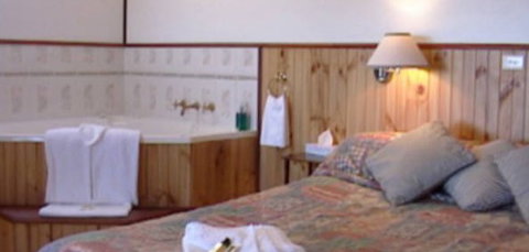 Cedar Lodge Cabins - Accommodation Coffs Harbour 2