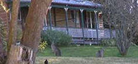 Cedar Lodge Cabins - Accommodation Coffs Harbour 3