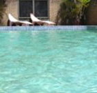 Toreador Motel - Coffs Harbour - Accommodation Coffs Harbour