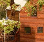 Barrington Tops Organic Retreat - Accommodation Coffs Harbour