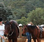 Clark Bay Cottages - Accommodation Coffs Harbour