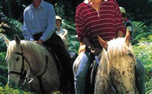 Cooby Springs Country Retreat - Accommodation Coffs Harbour 1