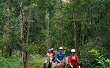 Cooby Springs Country Retreat - Accommodation Coffs Harbour 2