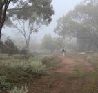 Heritage Park Bathurst - Accommodation Coffs Harbour