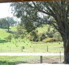Hosanna Farm Retreat - Accommodation Coffs Harbour