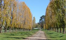 Kangadoo Cottage - Accommodation Coffs Harbour 1