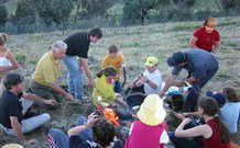 Linga Longa Farm Wingham - Accommodation Coffs Harbour 3