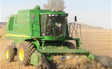 Linga Longa Farm Wingham - Accommodation Coffs Harbour 4