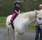 Mansfield Cottage Barrington Tops Accommodation - Accommodation Coffs Harbour