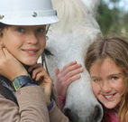 Mayfield Vineyard Cottages - Accommodation Coffs Harbour
