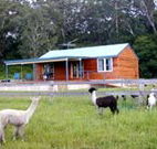 Moorallie Cottage Farm Stay - Accommodation Coffs Harbour