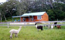 Moorallie Cottage Farm Stay - Accommodation Coffs Harbour 0