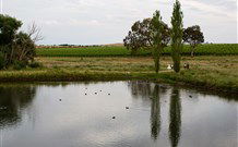 Old Redbank Farm Holiday - Accommodation Coffs Harbour 1