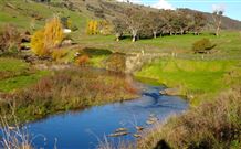 Ralda's Cottage - Accommodation Coffs Harbour 0