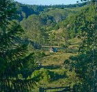 Yarralong BnB and Farm Stay - Accommodation Coffs Harbour