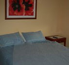 Busy Buzz - Accommodation Coffs Harbour