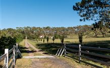 Cruickshanks Armidale Bed And Breakfast - Accommodation Coffs Harbour 1