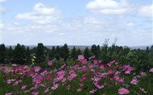 Cruickshanks Armidale Bed And Breakfast - Accommodation Coffs Harbour 4