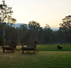 Elfin Hill - Accommodation Coffs Harbour