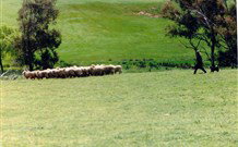Gooromon Park Cottages - Accommodation Coffs Harbour 0